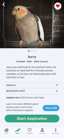 Submit an adoption application for a parrot