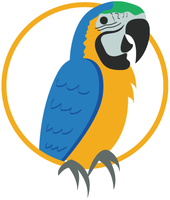 Blue and Gold Macaw Illustration