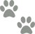 Pet Paws