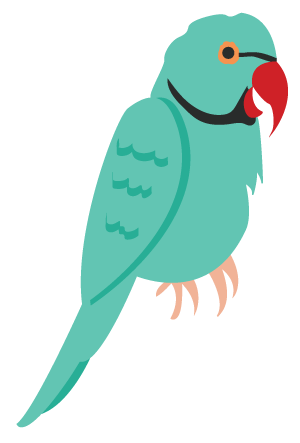 Indian Ringneck Illustration