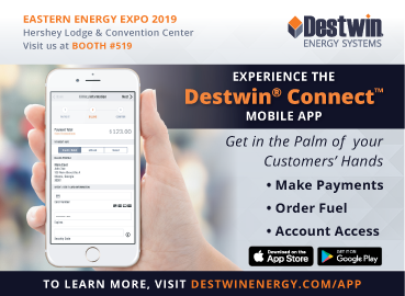 Destwin Connect Web Advertisement