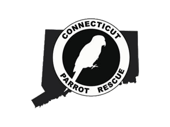 CT Parrot Rescue logo